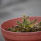 家にあった植物