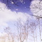 映る空と雲