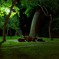 DSC01763