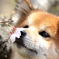 春のにおい