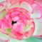 花　鱗