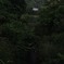 ホタルの光跡