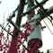 電信柱に季節を添えた