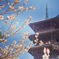 備中国分寺02
