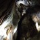 Jenolan caves' inside