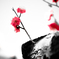 梅の花