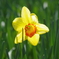 photo_6526962