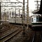 望遠レンズ試し撮り