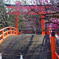 下鴨神社の梅　その１
