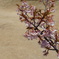 DSC00048