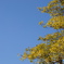 DSC00052