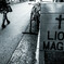 street  41