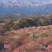 朝の鈴鹿山脈と梅林