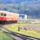 春が待ち遠しい ～早春の小湊鉄道～