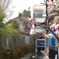 梅咲いてた