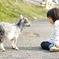 君の名は？？