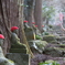 山寺の参道