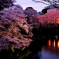 千鳥が淵2010