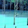 沼