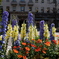 flower garden on the street