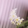 さくらヴェール水仙②