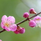 春、うまれる