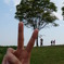 20100502昭和紀念公園