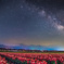 Spring Milky Way