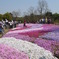 20100502昭和紀念公園