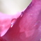 0322花