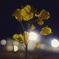 IMG_20170320_001205_076