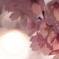 ＳＳＳＳ！（桜咲いたら素晴らしくてサイコー！）