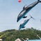 050＊Dolphin Arch!!!