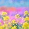 春花の宴:♪゜・*:.