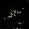 無題030