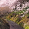 春めく小川