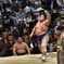 大相撲観戦（１０）