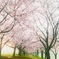 春 未来への一歩
