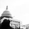 The Capital