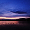 夕空を泳ぐ