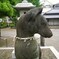 お狐父さん
