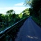 山道