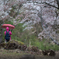 歓迎の雨