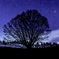 高原の夜