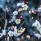 20170326-DSC01449