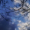 空