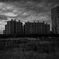in the wasteland of tokyo
