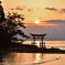 恋路海岸 朝日