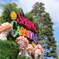 Spring Carnival