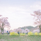 桜Walker 